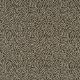 Picture of 55979-80